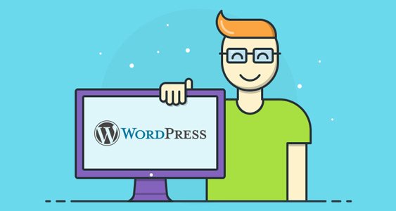 WordPress Services & Developer